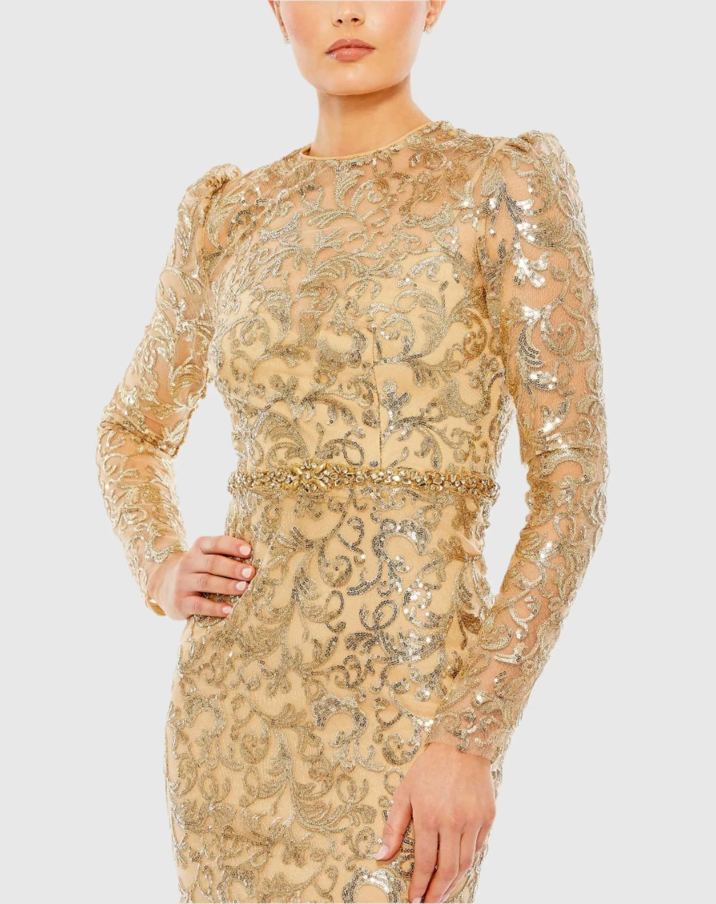 Gold Embellished High Neck Long Sleeve Gown